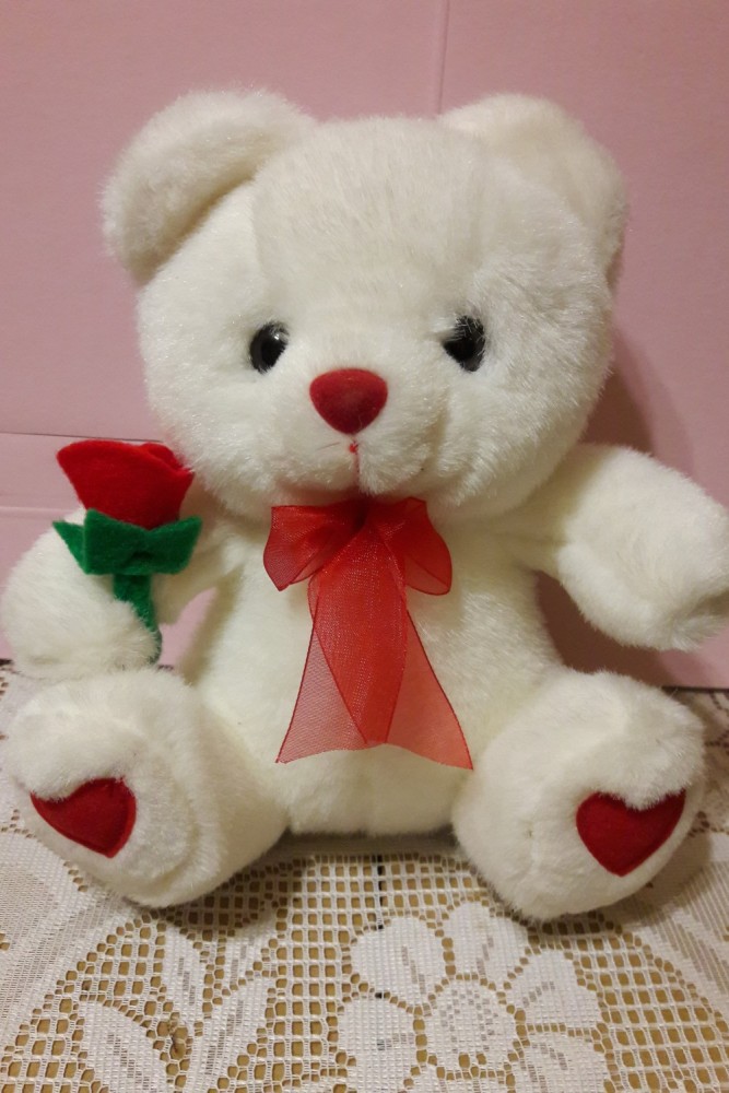Valentine's Teddy