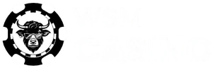 Wsm Logo